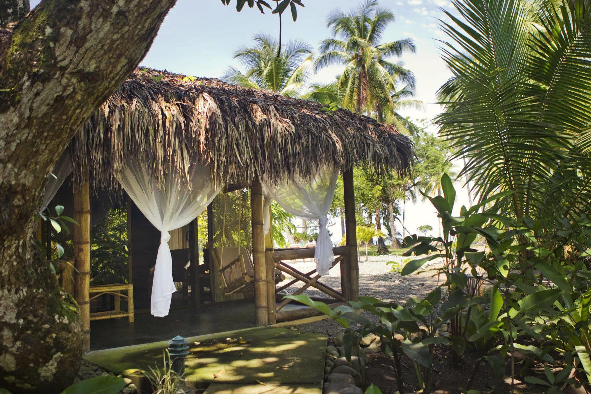 Clandestino Beach Resort Parrita Extérieur photo