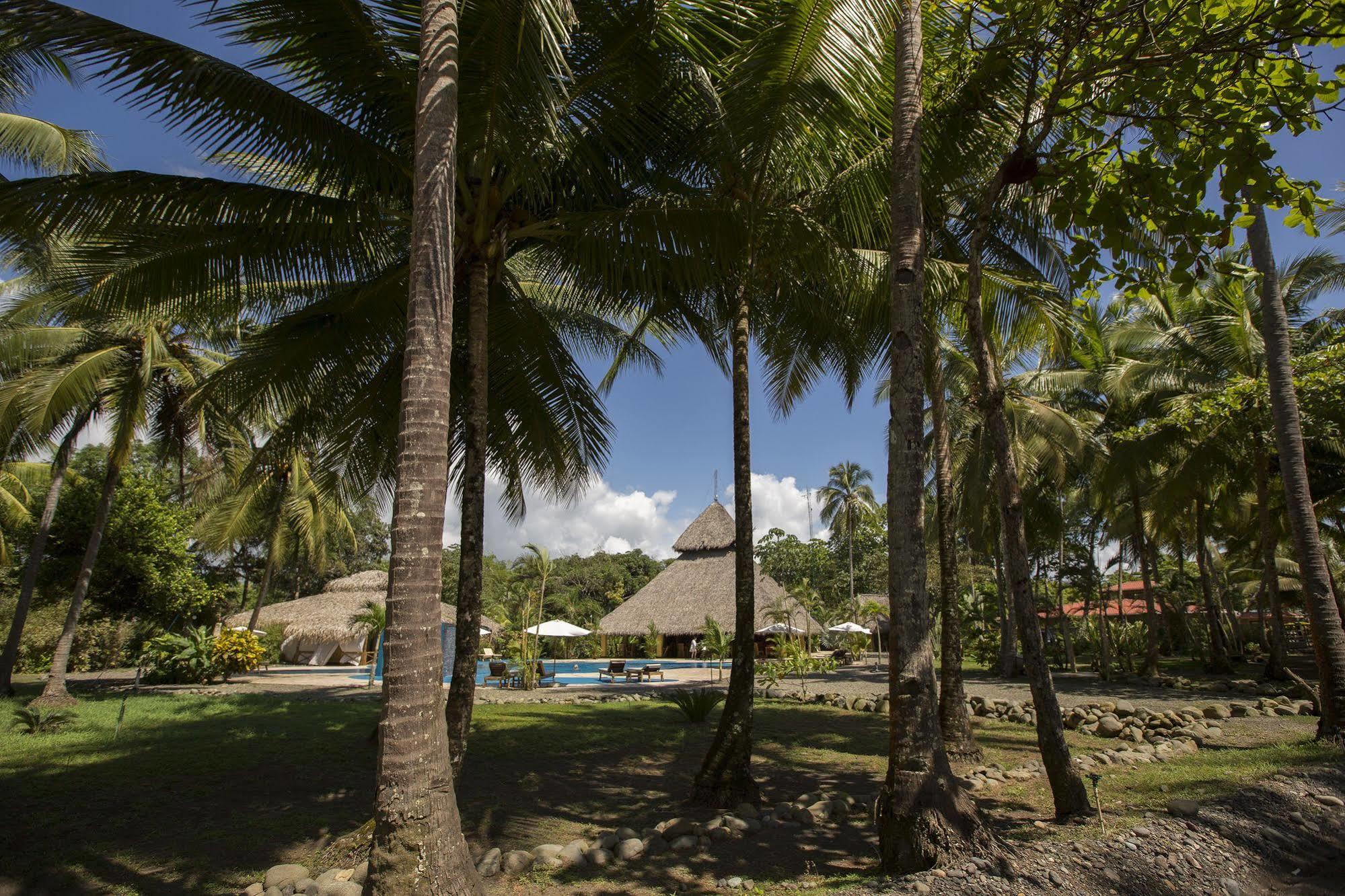 Clandestino Beach Resort Parrita Extérieur photo