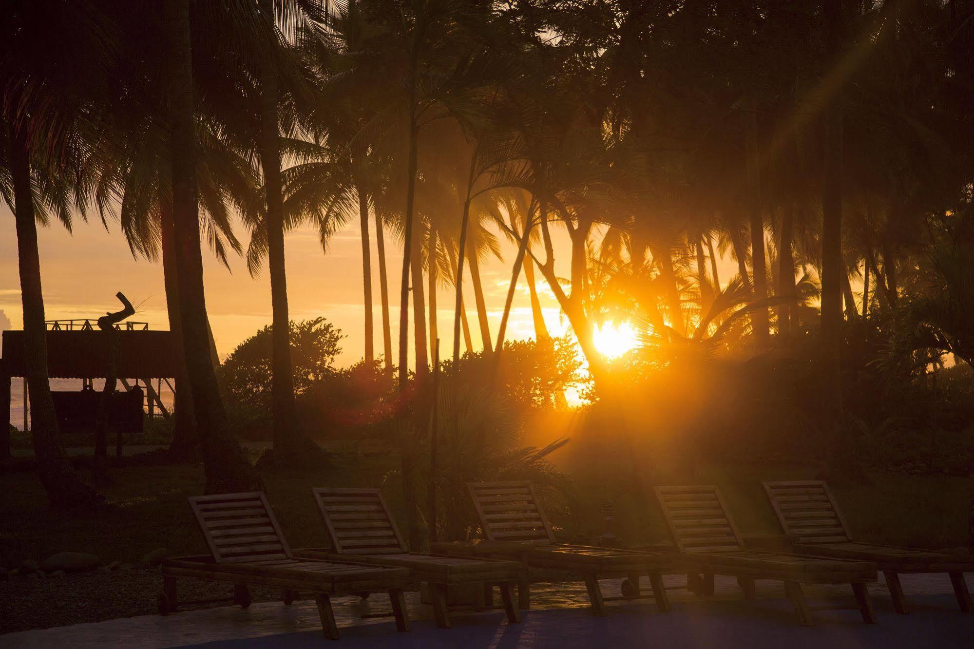 Clandestino Beach Resort Parrita Extérieur photo