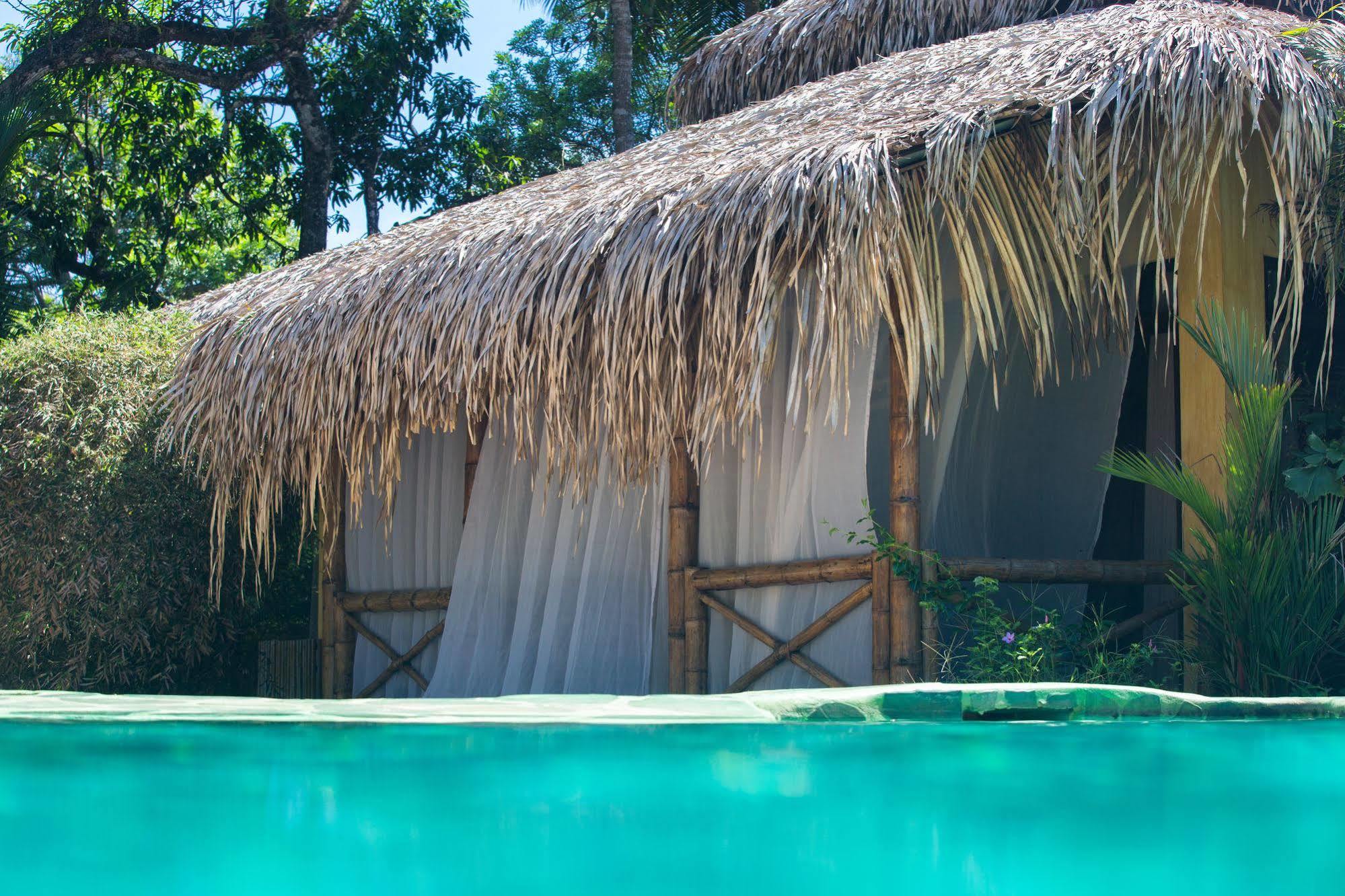 Clandestino Beach Resort Parrita Extérieur photo
