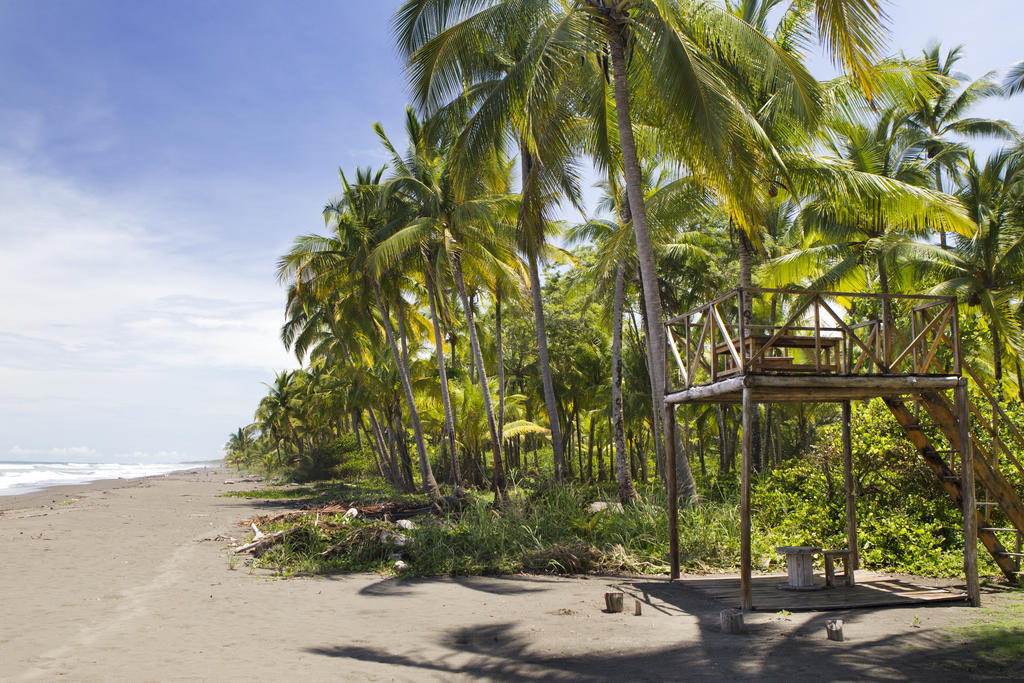 Clandestino Beach Resort Parrita Extérieur photo