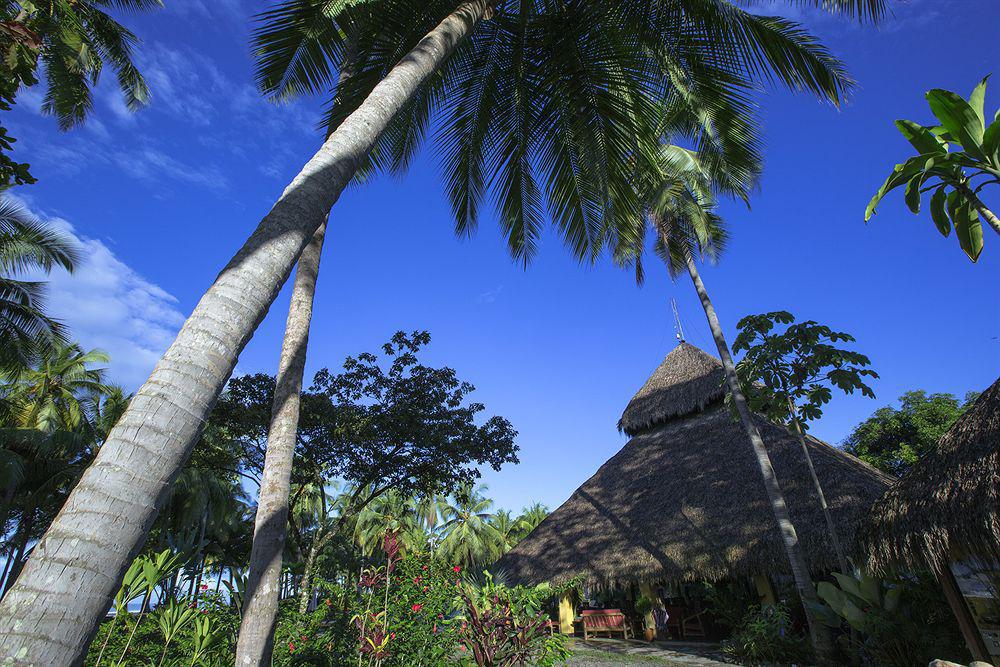 Clandestino Beach Resort Parrita Extérieur photo